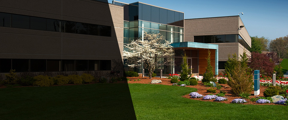 Dearborn Landscapers