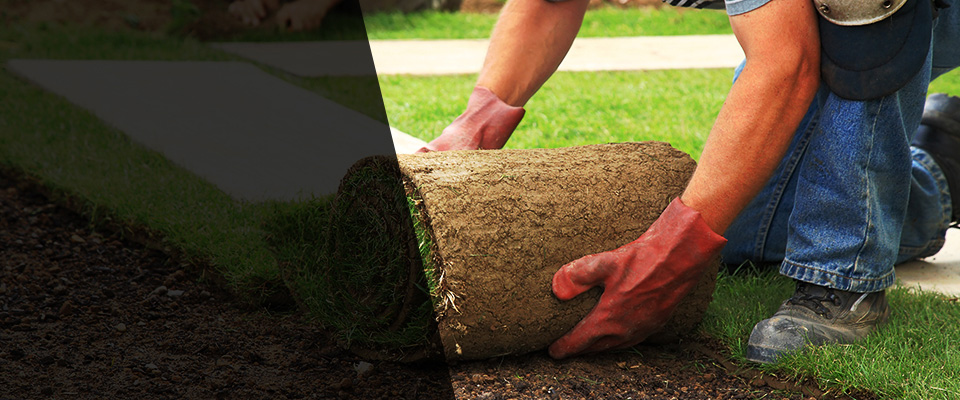 Dearborn Landscapers